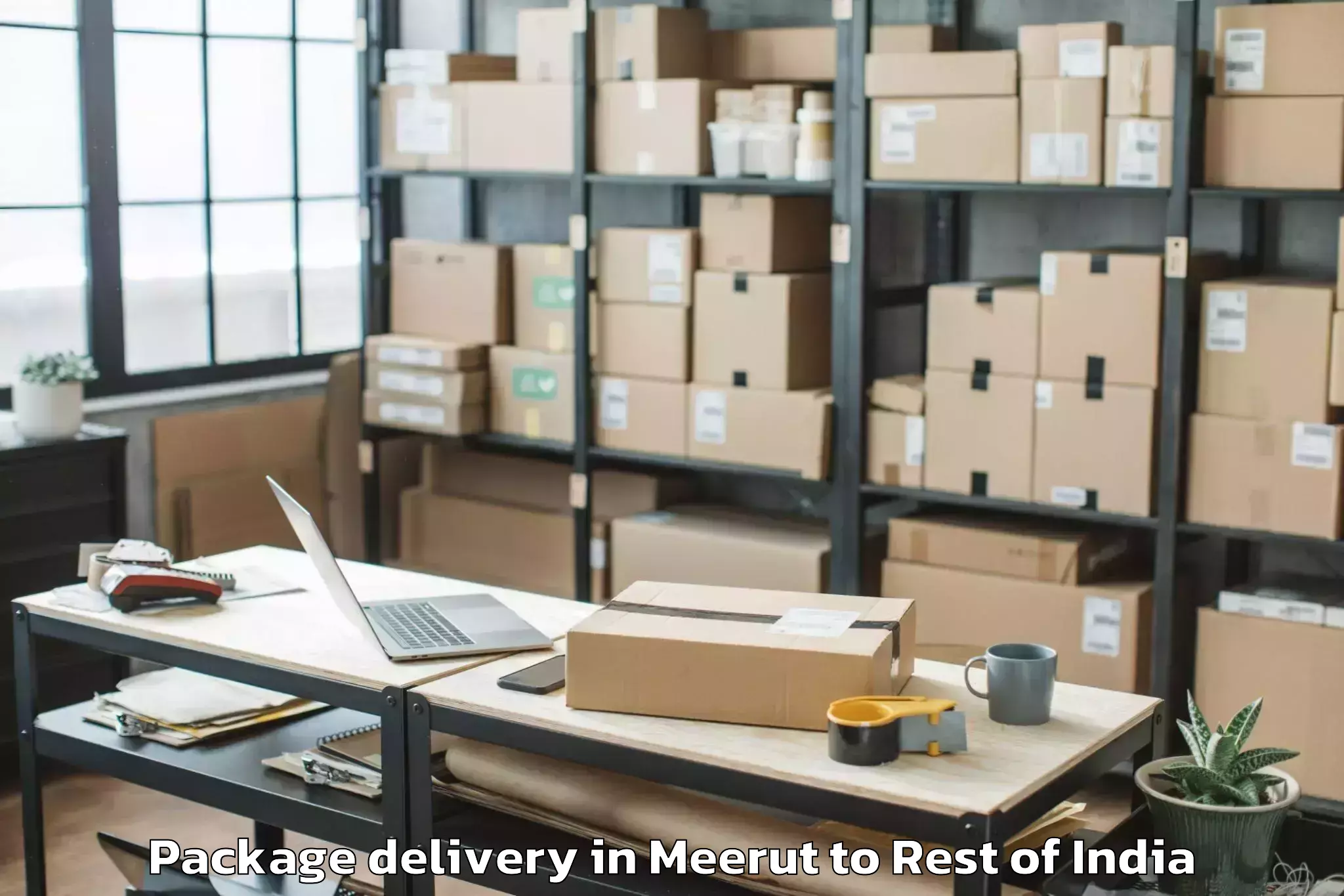 Quality Meerut to Zero Airport Zer Package Delivery